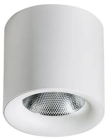 Spot LED aplicat tavan/plafon MANE 30W alb