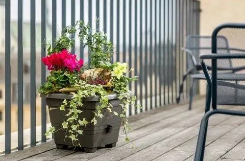 Plastia Ghiveci cu auto-apărare Bergamot,ciocolată, 60 x 60