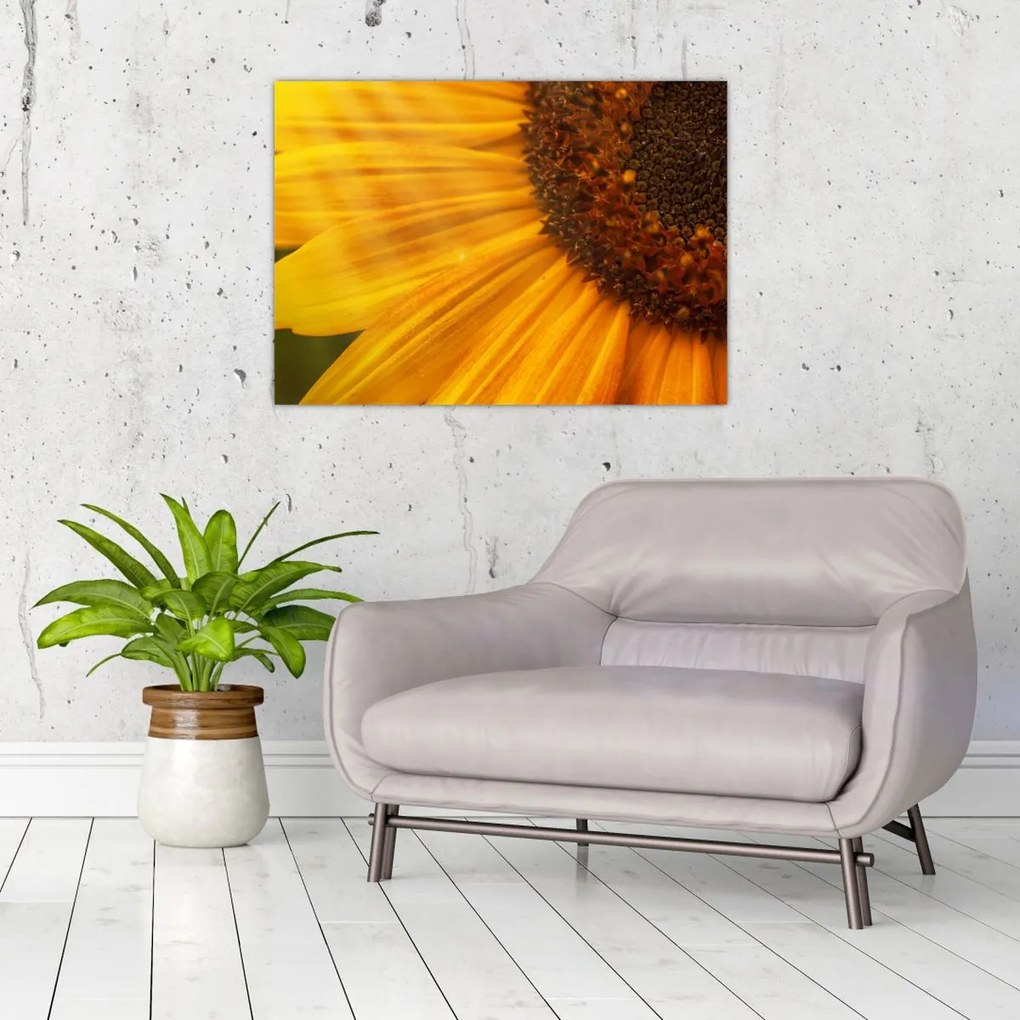 Tablou pe sticlă - Floarea-soarelui (70x50 cm)