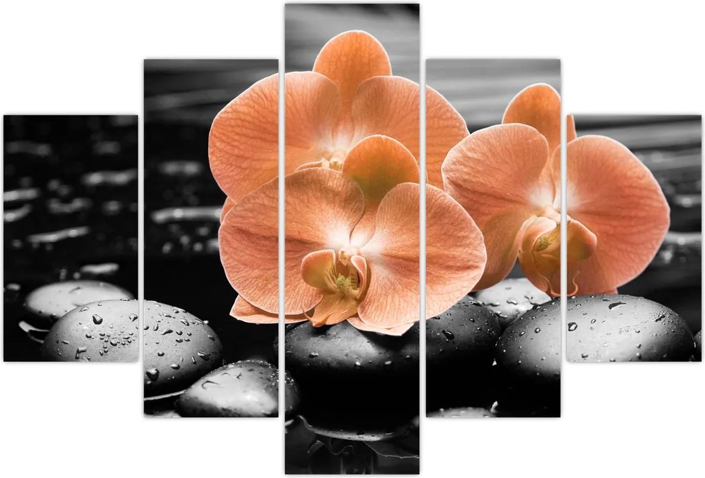 Tablou - Orhidee portocalii (150x105 cm)