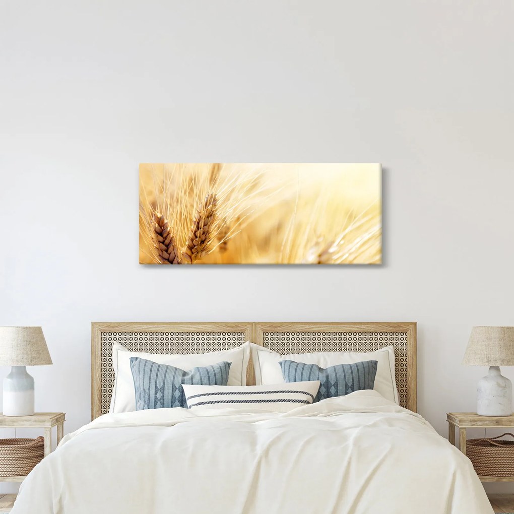 Tablou- detaliu cu (120x50 cm)