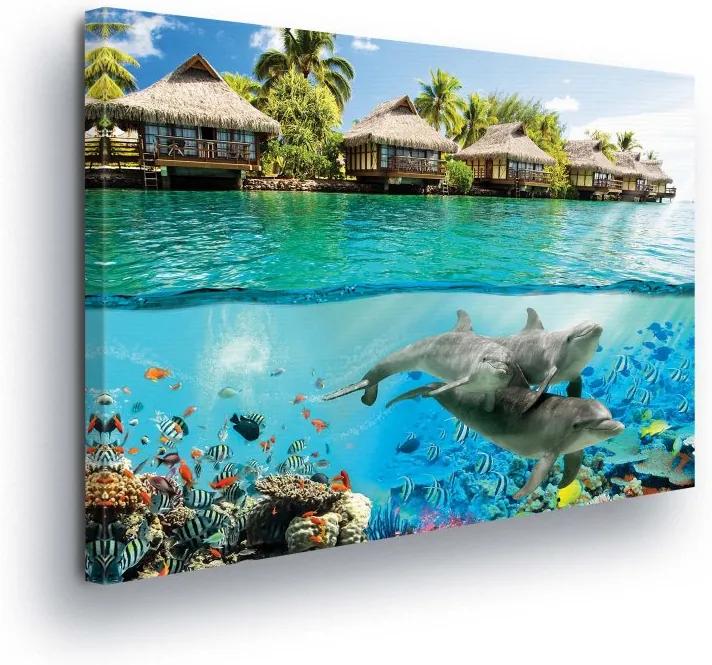 GLIX Tablou - Underwater World with Dolphins II 100x75 cm