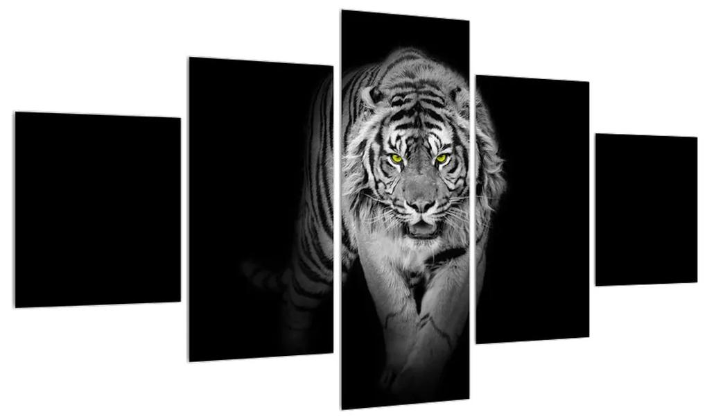 Tablou albnegru cu tigru (125x70 cm), în 40 de alte dimensiuni noi
