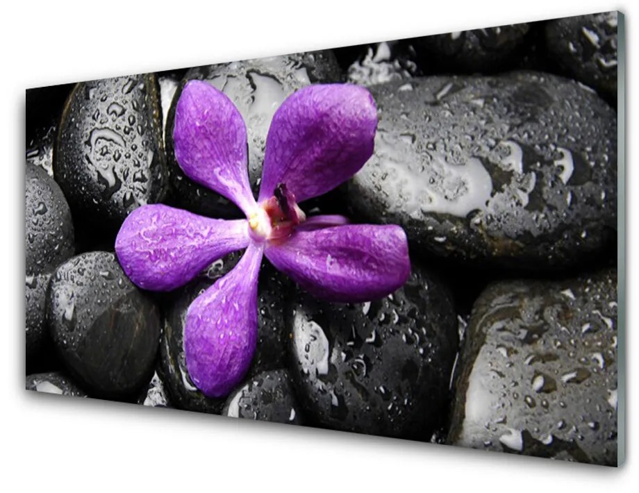 Tablouri acrilice Pietrele de flori Arta roz negru