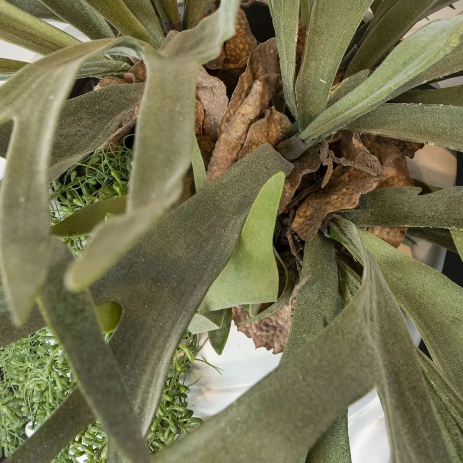 Aranjament floral mare OBICE DAVID EARS LOTUS PLATYCERUM