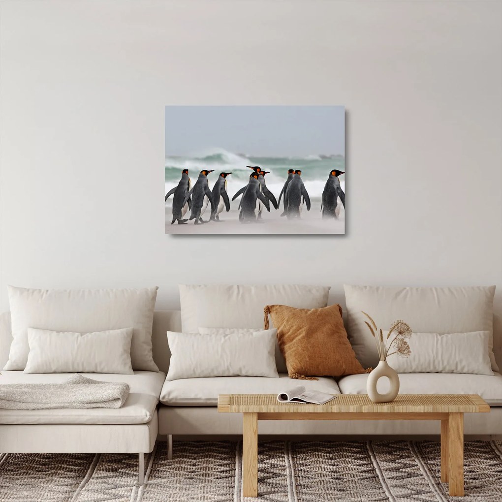 Tablou pe sticlă pinguini în ocean (70x50 cm)