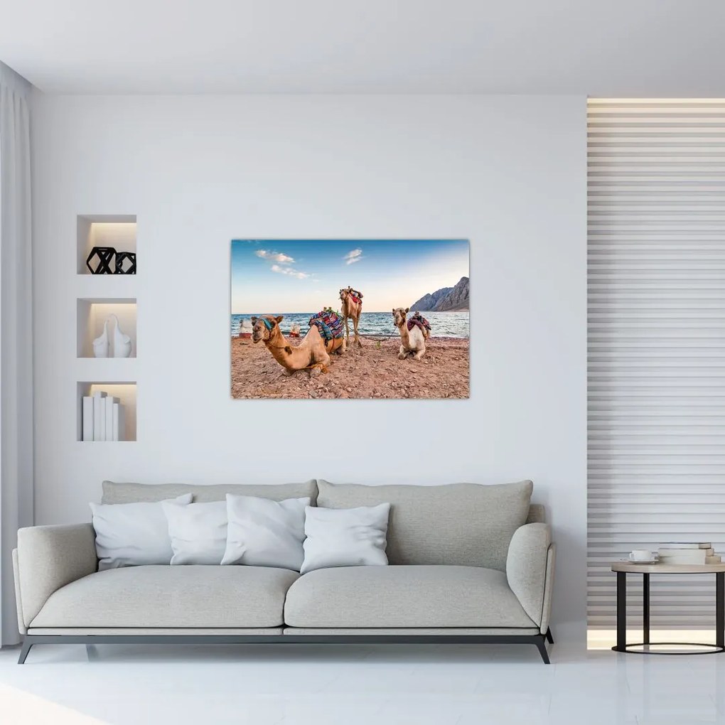 Tablou cu cămile (90x60 cm)