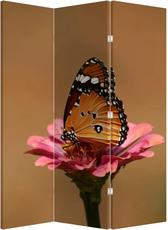 Paravan - Fluture pe floare (126x170 cm)