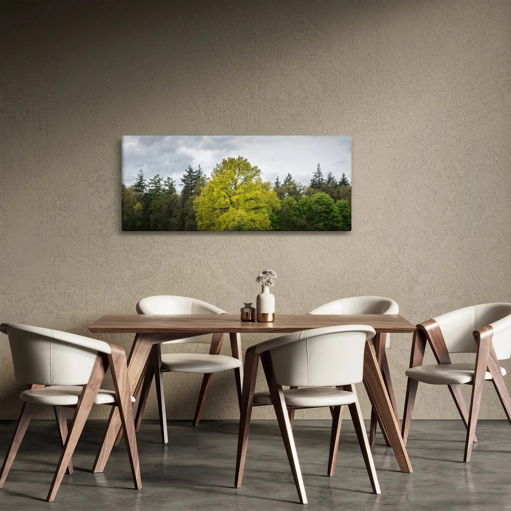 Tablou - Copac verde în câmp (120x50 cm)
