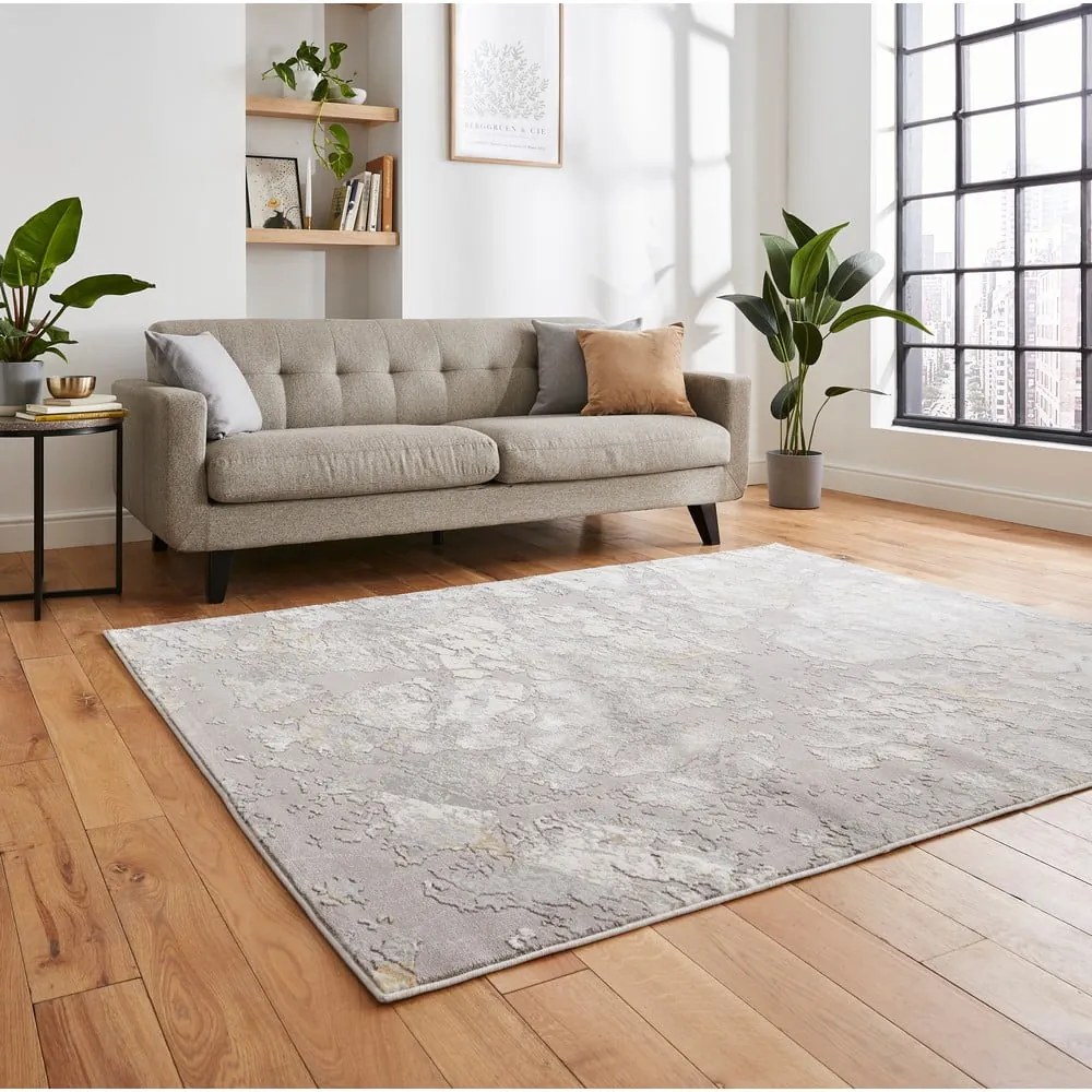 Covor gri deschis 200x290 cm Apollo – Think Rugs