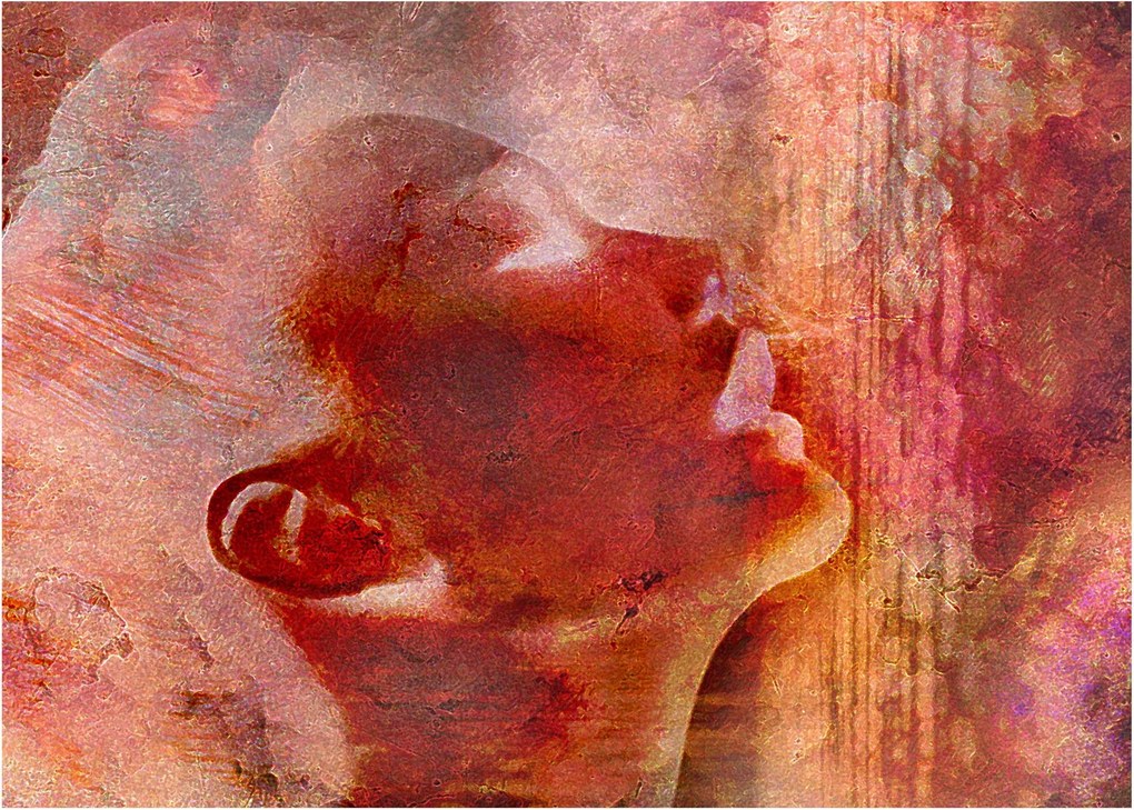 Tablou - Profilul feței feminine (70x50 cm)