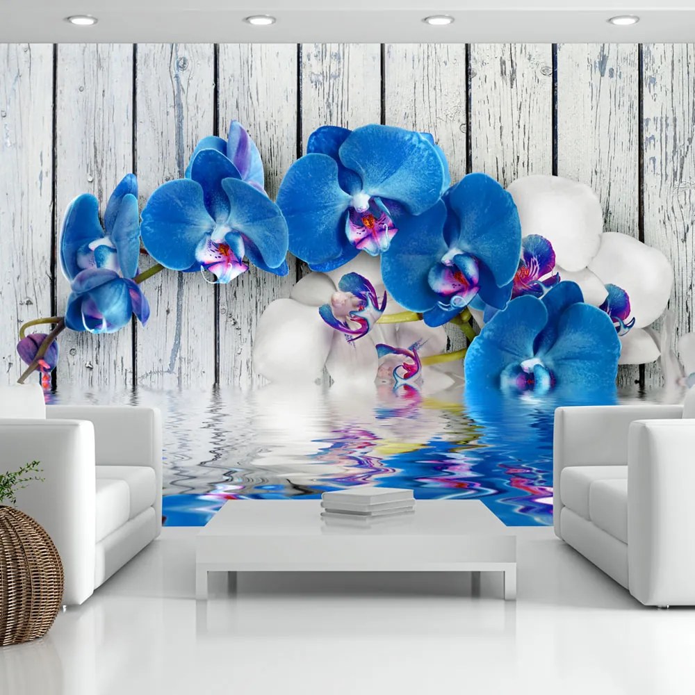 Fototapet Bimago - Cobaltic orchid + Adeziv gratuit 350x245 cm