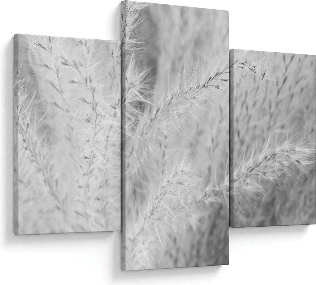 Tablou - Iarbă de pampas N⁰1 (90x60 cm)