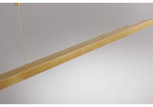 Lustră LED dimabilă pe cablu Paul Neuhaus 2568-60 ADRIANA LED/14W/230V alămie