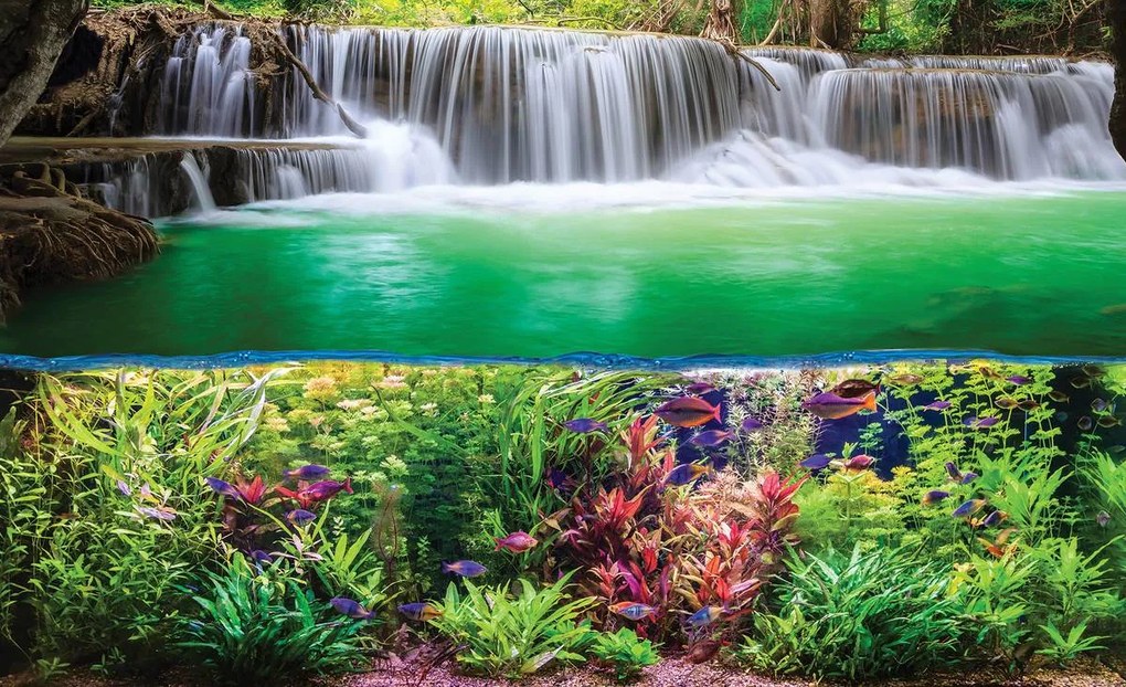 Fototapet - Plante, pești și cascada (152,5x104 cm)