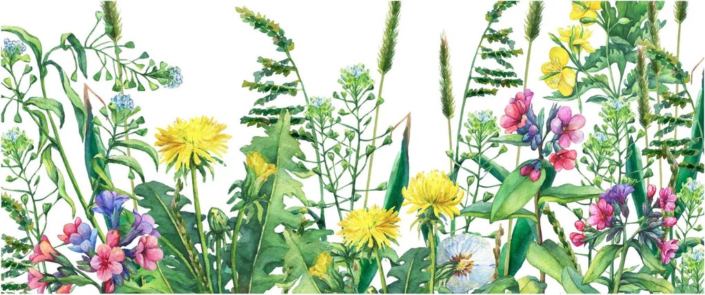 Tablou - Flori de pajiște pictate (120x50 cm)