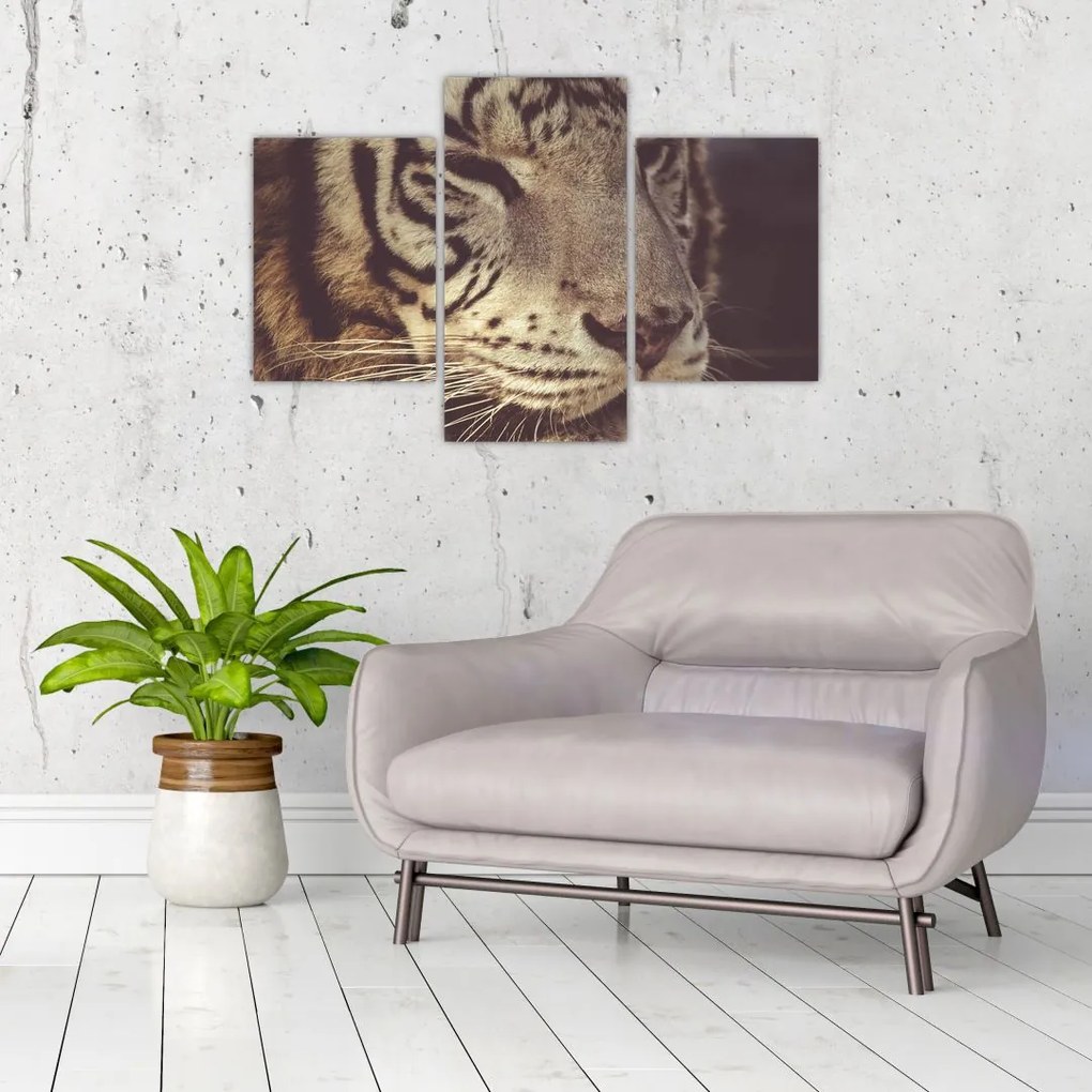 Tablou cu tigrul (90x60 cm)