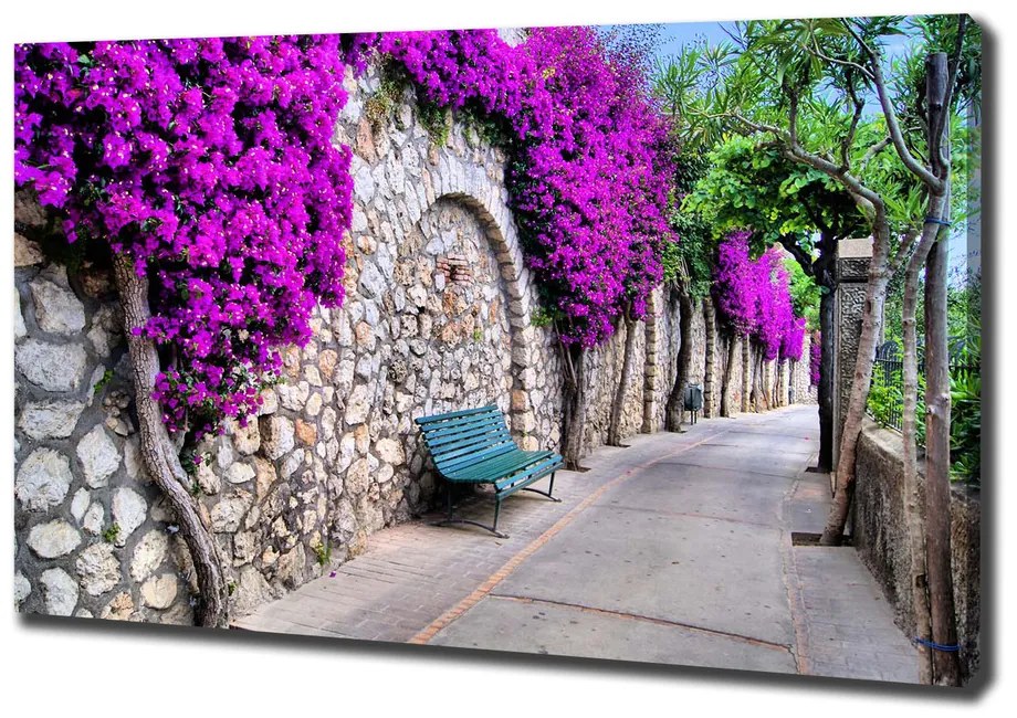 Print pe canvas Străzi fermecătoare
