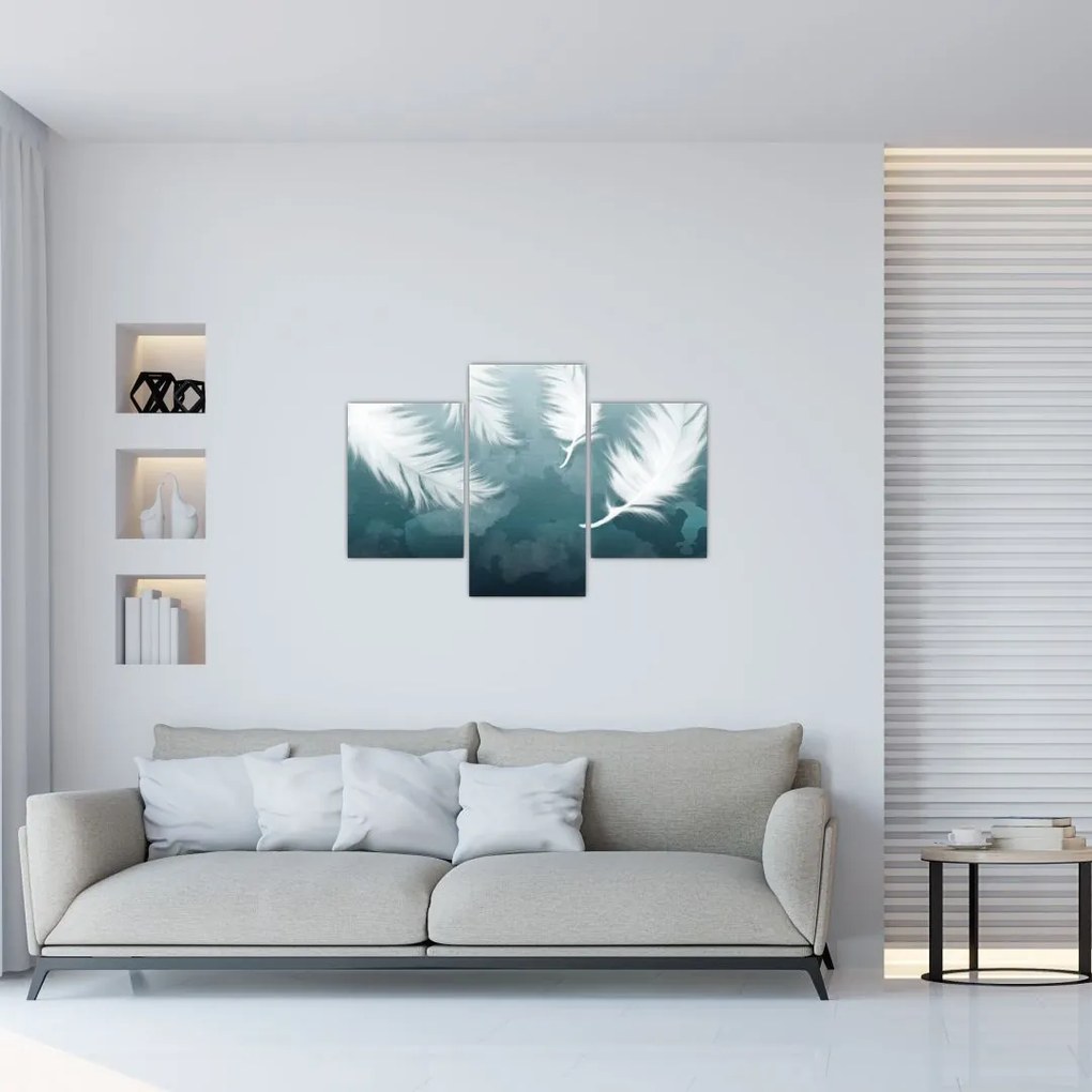 Tablou - Pene albe (90x60 cm)