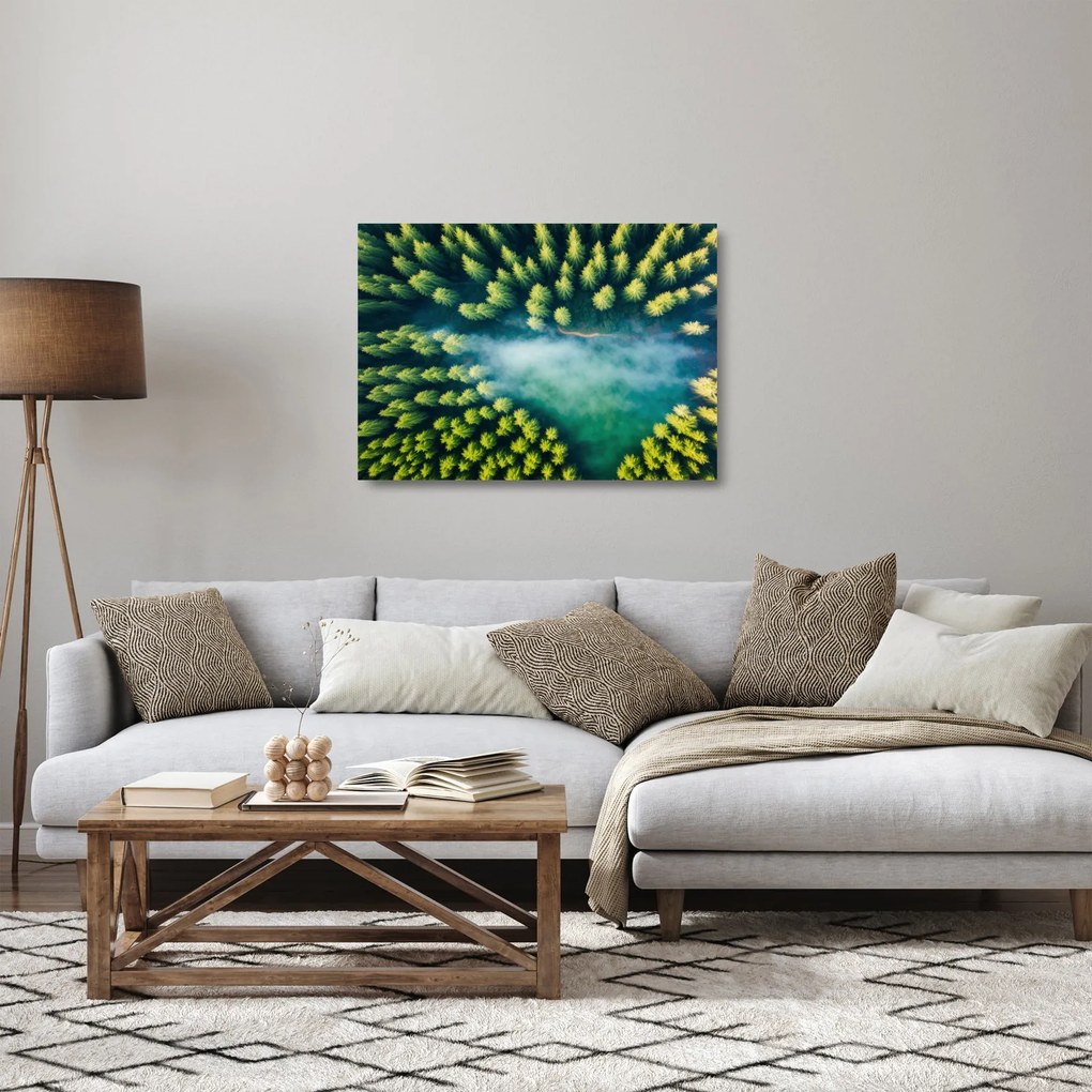 Tablou pe sticlă - O pădure învăluită în ceață (70x50 cm)