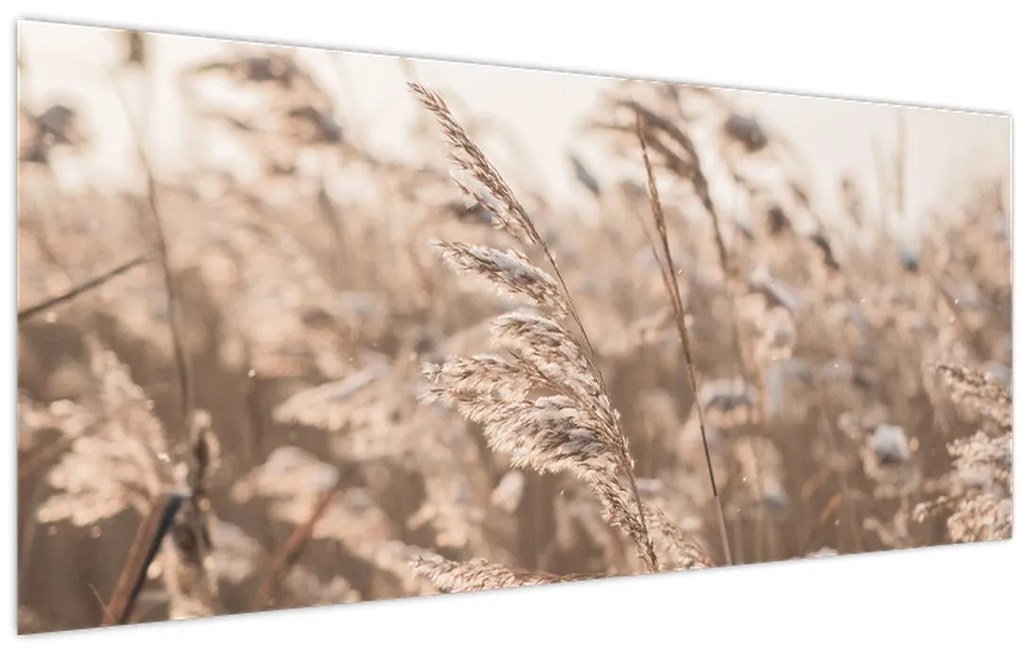 Tablou - Adiere de luncă (120x50 cm)