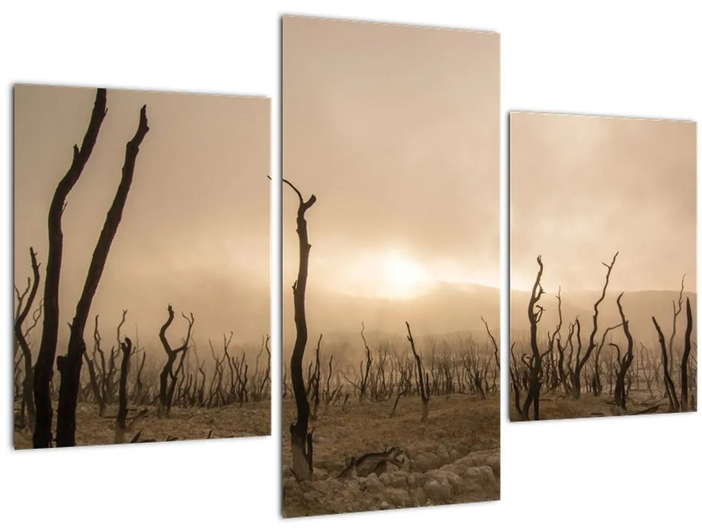 Tablou - Copaci goi (90x60 cm)