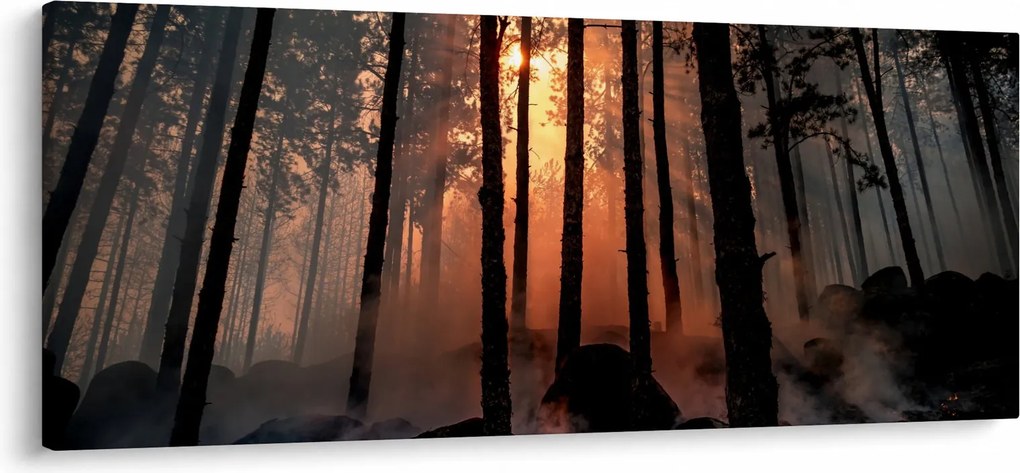 Tablou cu pădure întunecată (120x50 cm)