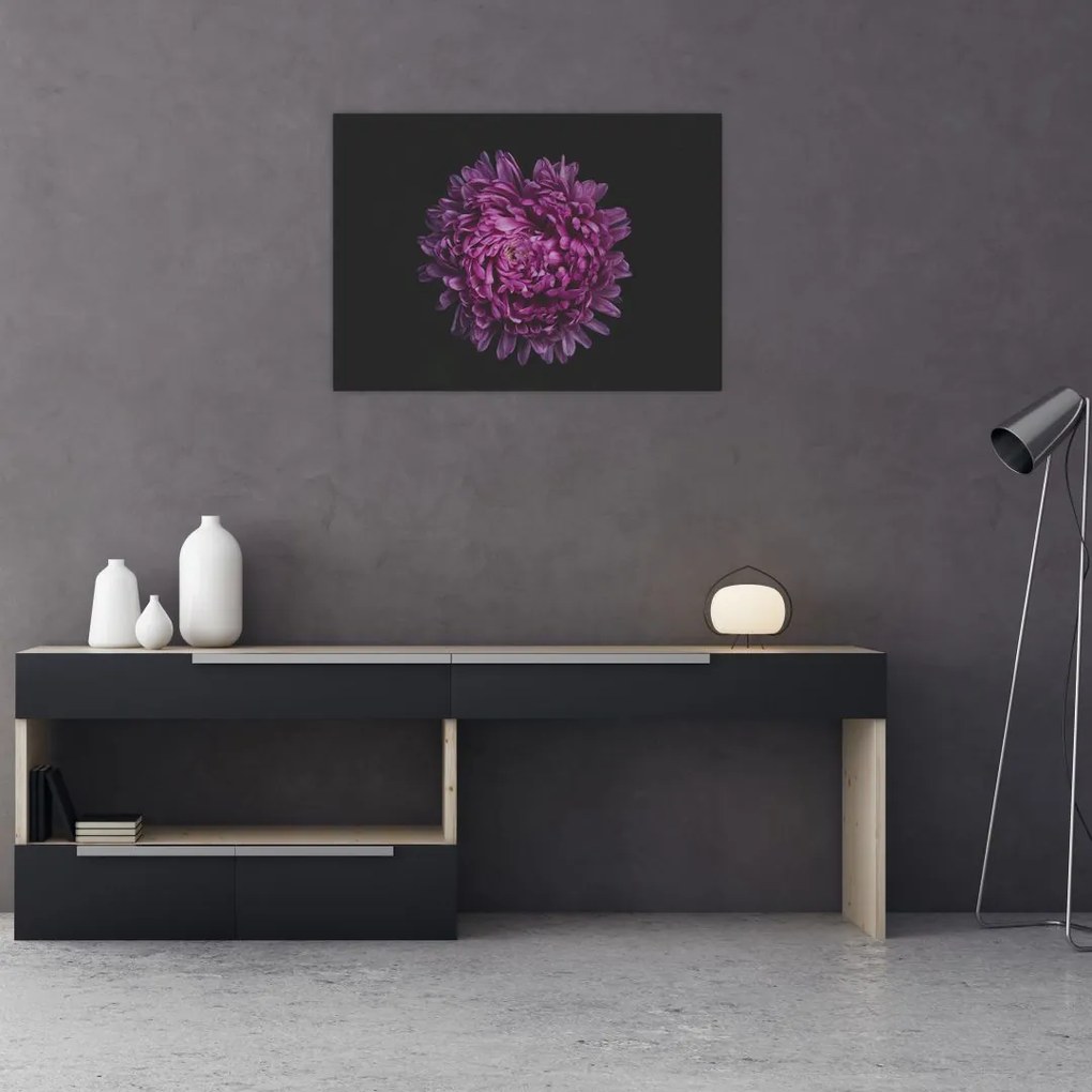 Tablou cu floare violetă (70x50 cm)