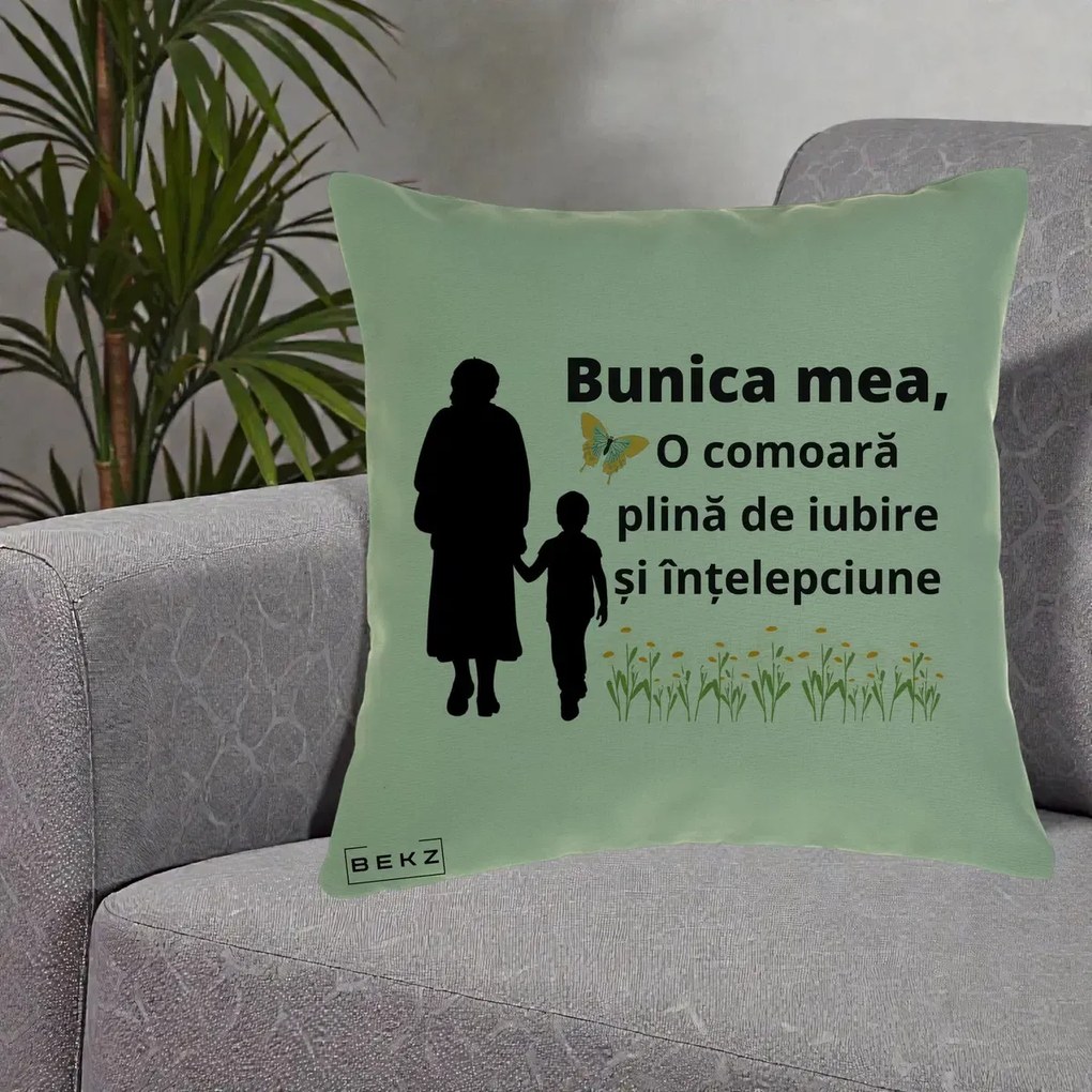 Cadou pentru Bunica - Perna Personalizata Bunica Mea Comoara cu Fluture si Baietel, 40x40 cm, Verde, Husa Detasabila, Perna Inclusa, BEKZ®