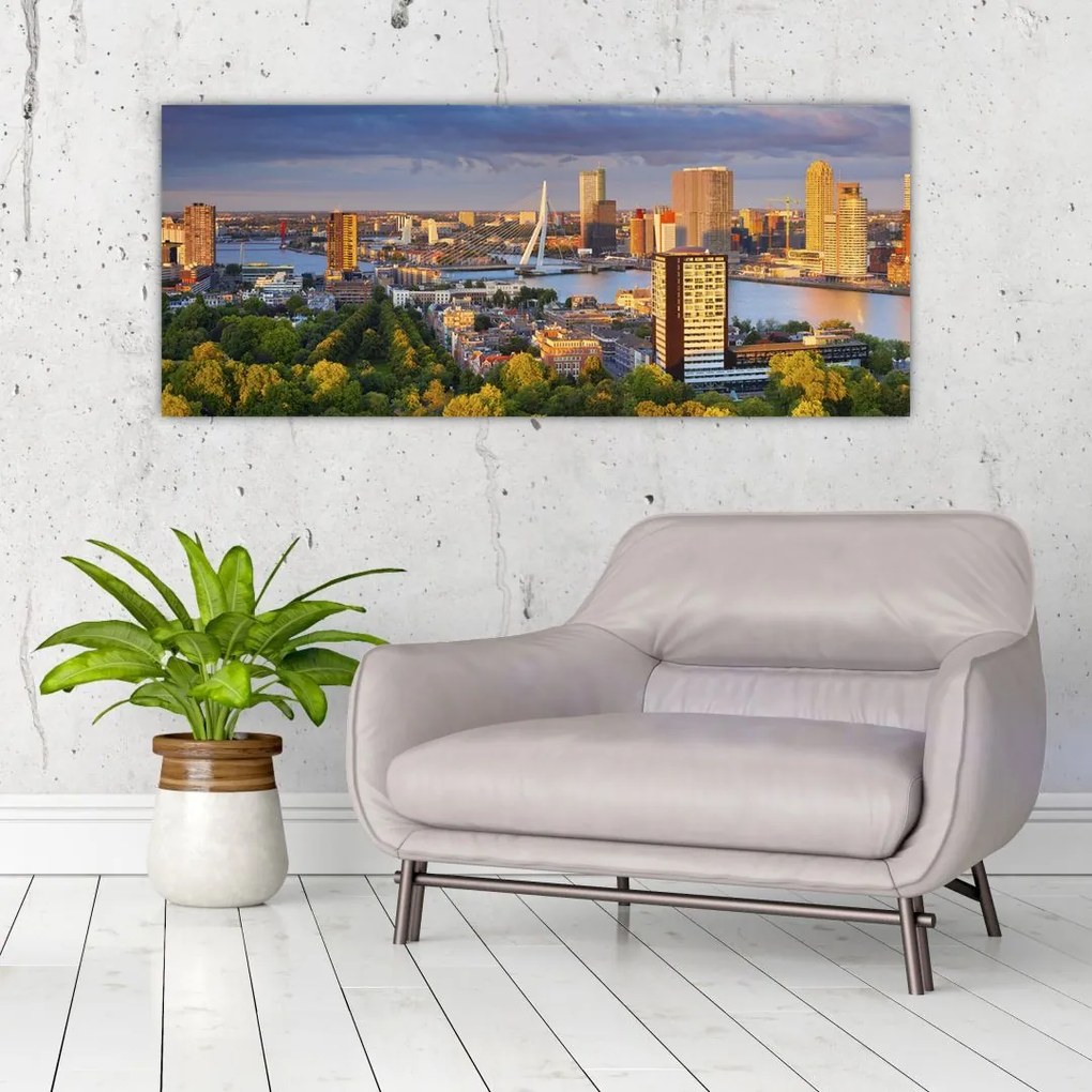Tablou - Panorama Rotterdamului, Țările de Jos (120x50 cm)