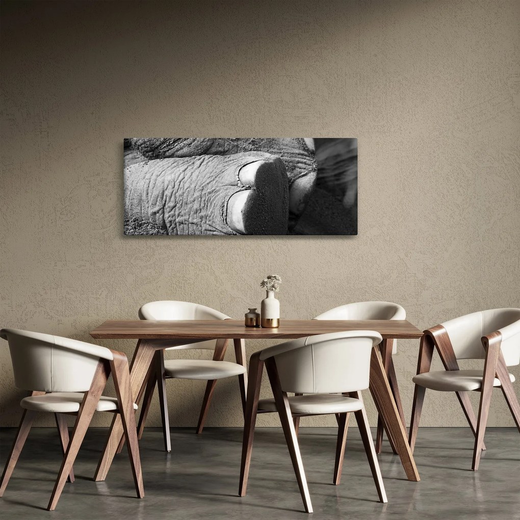 Tablou - Picior de elefant (120x50 cm)