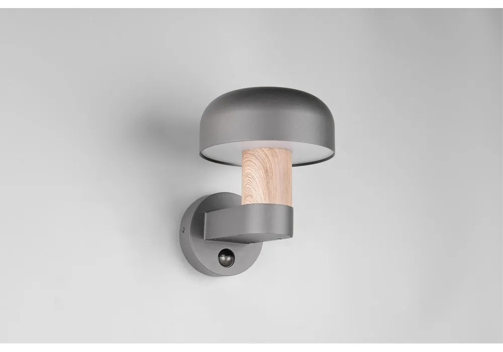 Corp de iluminat pentru exterior, de perete (înălțime 24,5 cm) Fraser – Trio