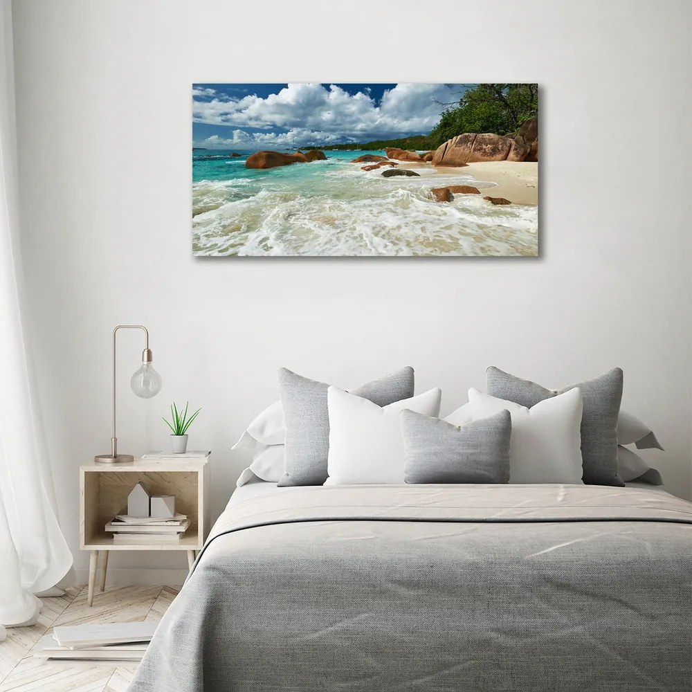 Pictură pe pânză Plaja seychelles