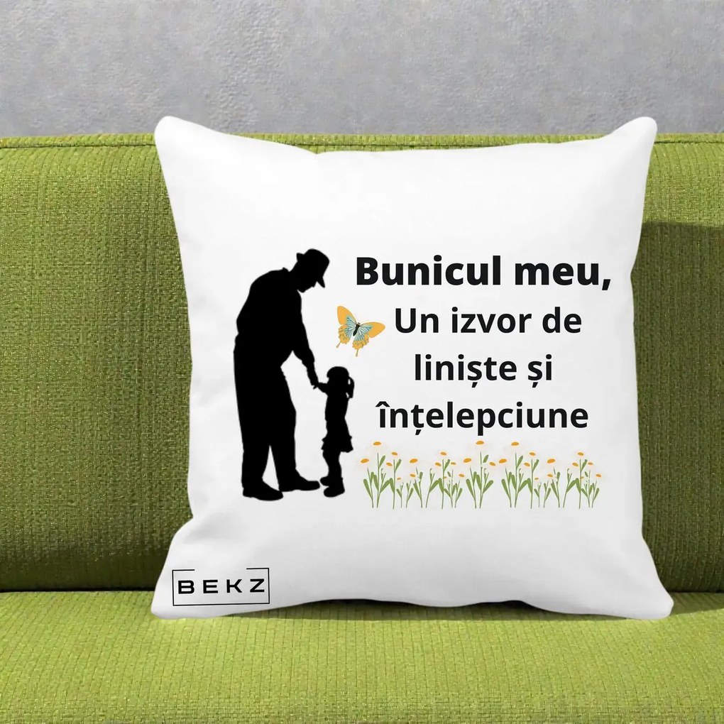 Cadou pentru Bunic - Perna Personalizata Bunicul Meu Izvor de Liniste cu Fluture si Fetita, 40x40 cm, Alba Mata, Husa Detasabila, Perna Inclusa, BEKZ®
