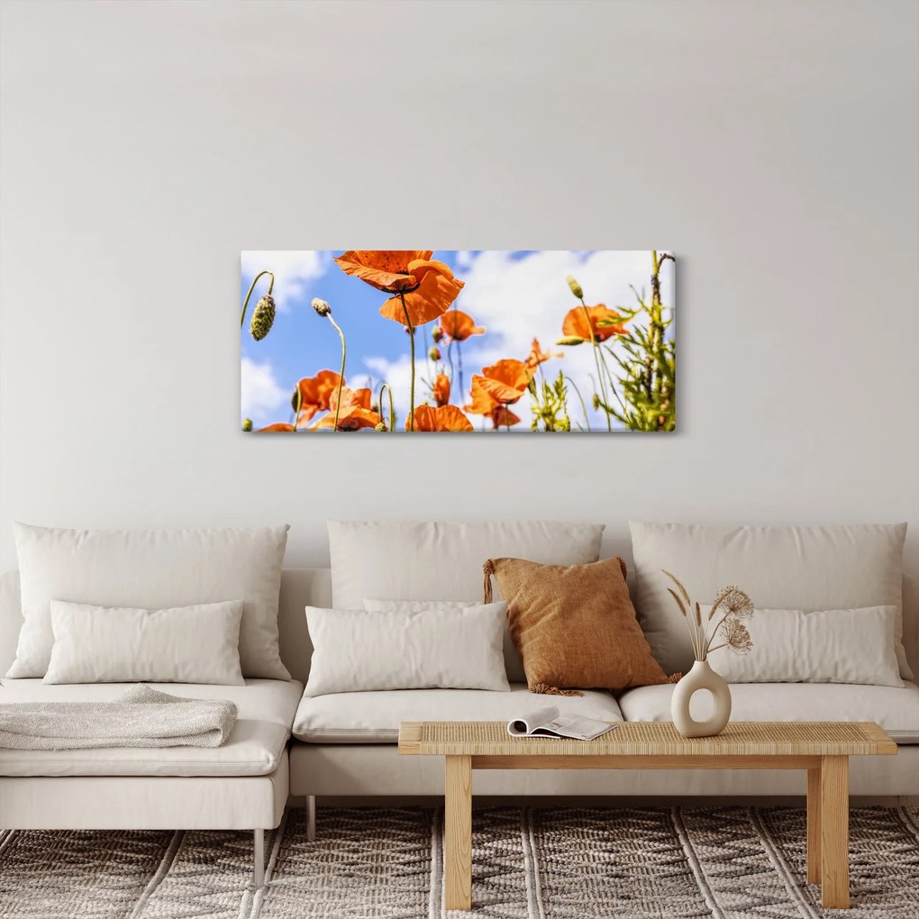 Tablou cu macii (120x50 cm)