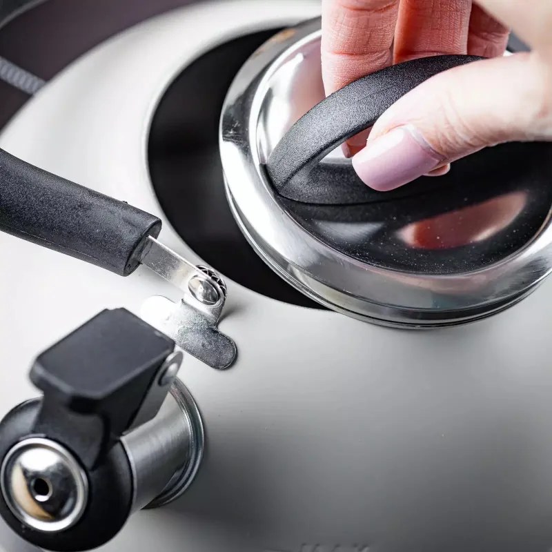 Ceainic cu fluier Kinghoff KH 1854, 1.8 l, Inductie, Maner termoizolant, Bej