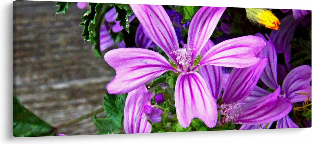 Tablou -flori de câmp (120x50 cm)