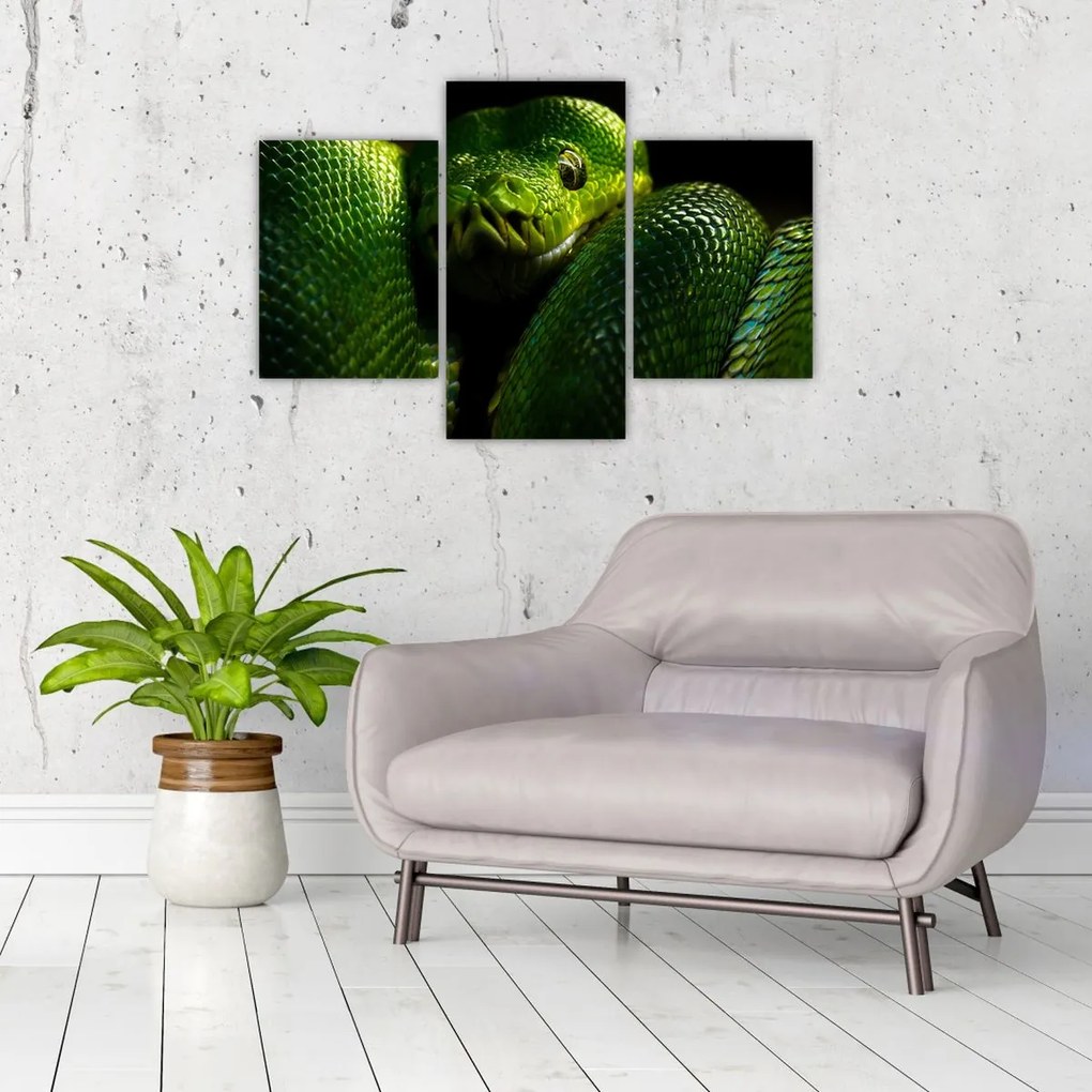 Tablou - Șarpele verde (90x60 cm)