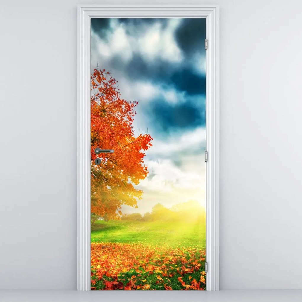 Fototapet pentru ușă - Peisaj luminat de soare (95x205cm)