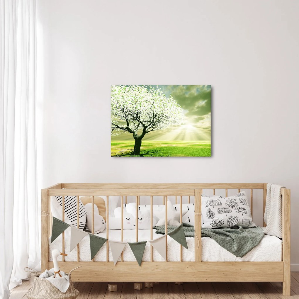 Tablou cu copaci pe luncă (70x50 cm)