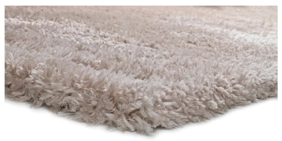 Covor Universal Aloe, 120 x 170 cm, bej