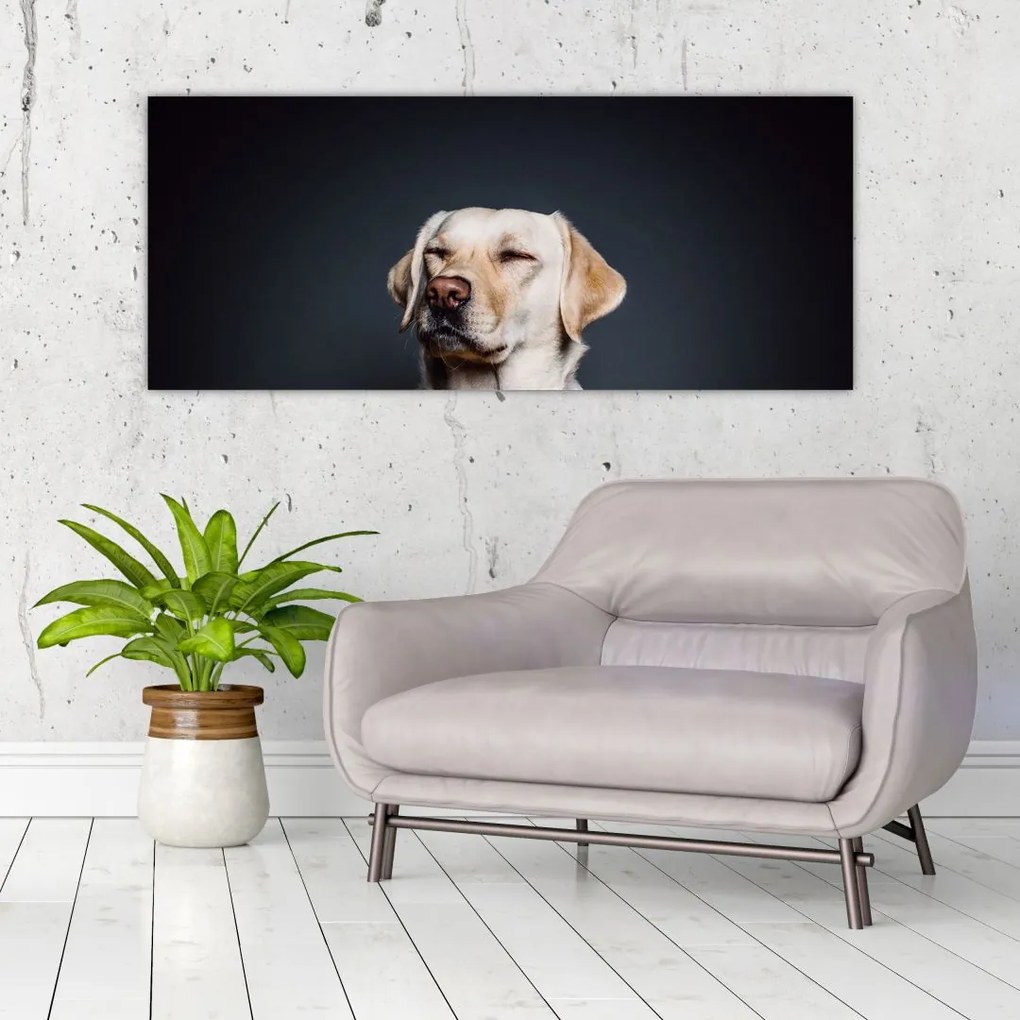 Tablou cu labrador (120x50 cm)