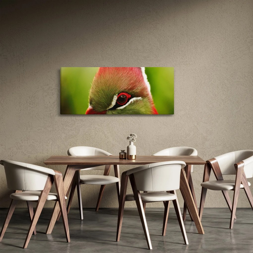 Tablou cu pasărea colorată (120x50 cm)