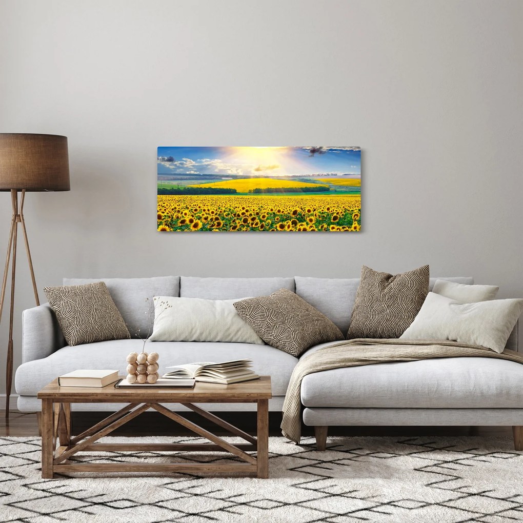 Tablou - Câmp cu floarea soarelui (120x50 cm)
