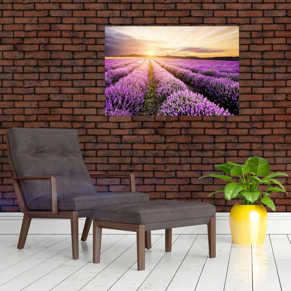 Tablou - Răsărit de soare în câmp de lavandă (90x60 cm)
