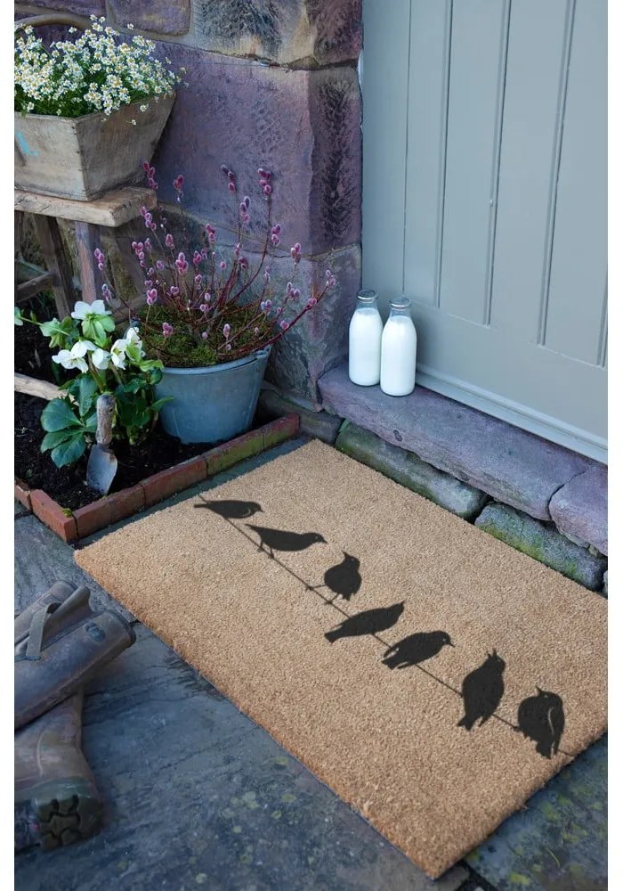 Covoraș de intrare din fibre de nucă de cocos 40x60 cm Birds On a Wire – Artsy Doormats