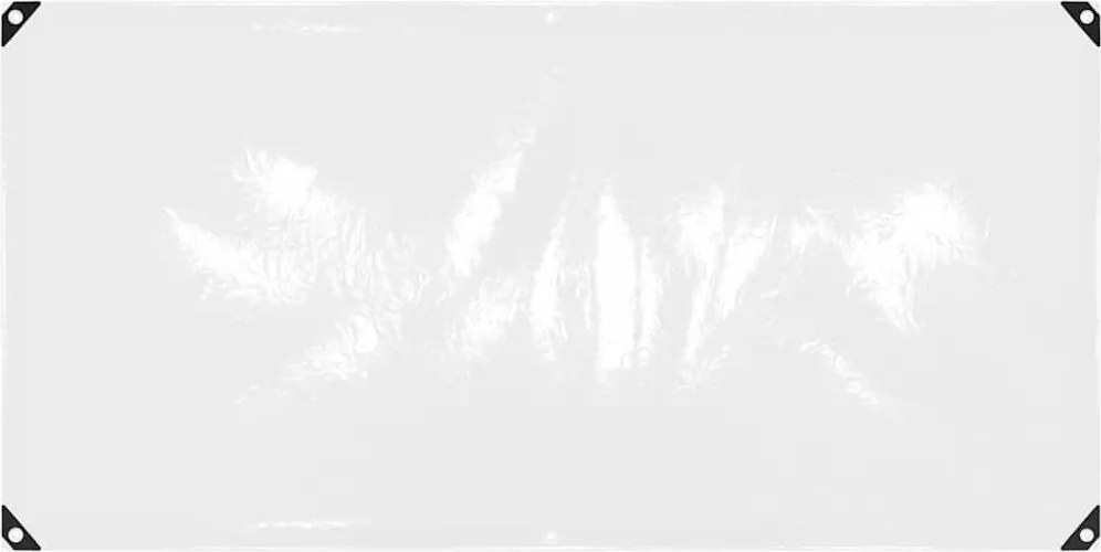 vidaXL Prelata transparenta cu ochiuri 1x2 m PVC