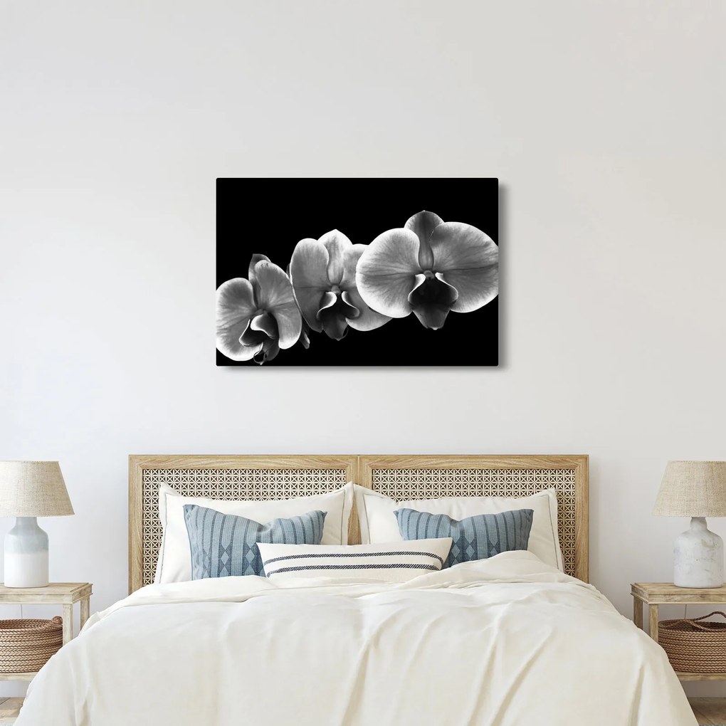Tablou floare de orhidee (90x60 cm)