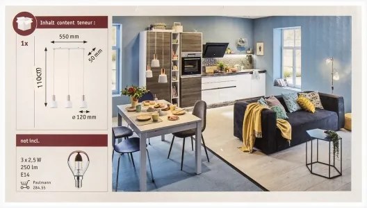 Lustră pe cablu 3xE14/20W NEORDIC HALDAR 230V Paulmann 79657