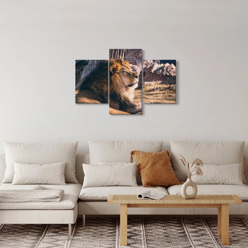 Tablou cu leul dormind (90x60 cm)